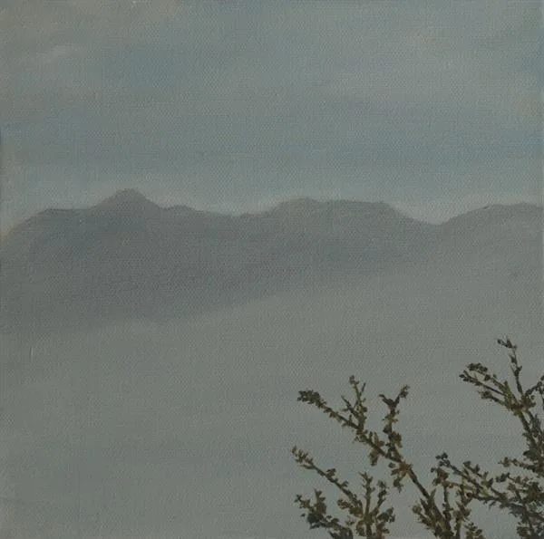 Marin Fog #7