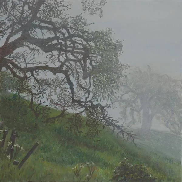 Marin Fog #10