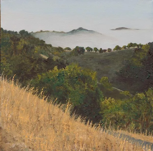 Marin Fog #20