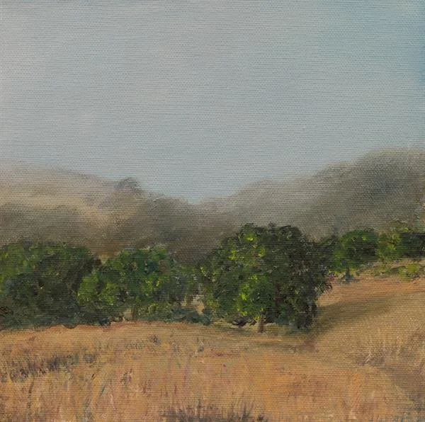Marin Fog #24