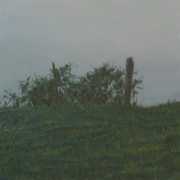 Marin Fog #35