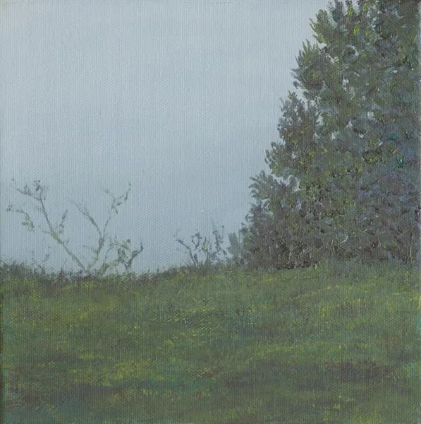 Marin Fog #36